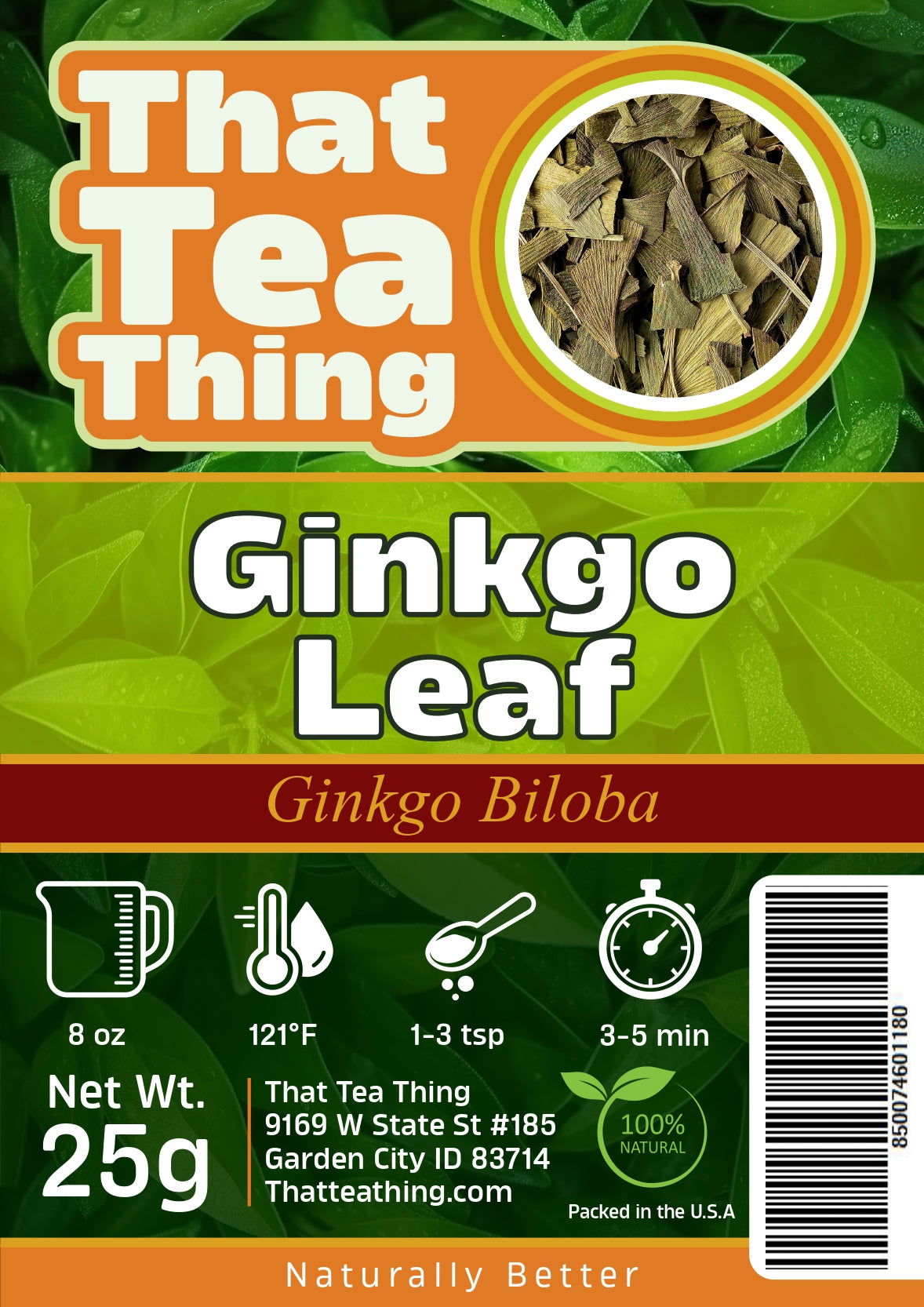 Ginkgo Leaf